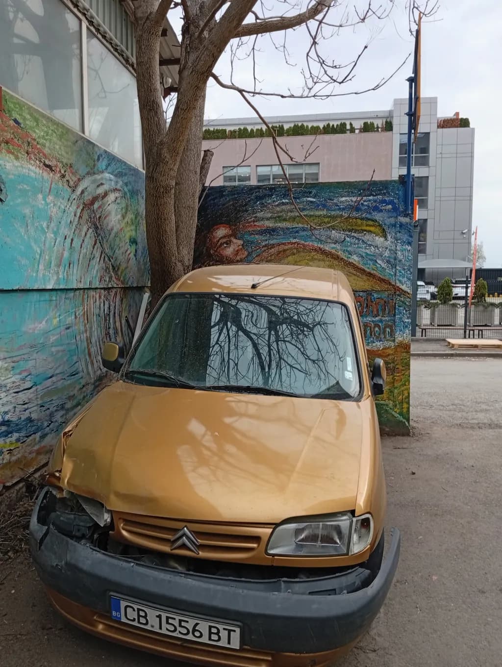 Rust and Reflection