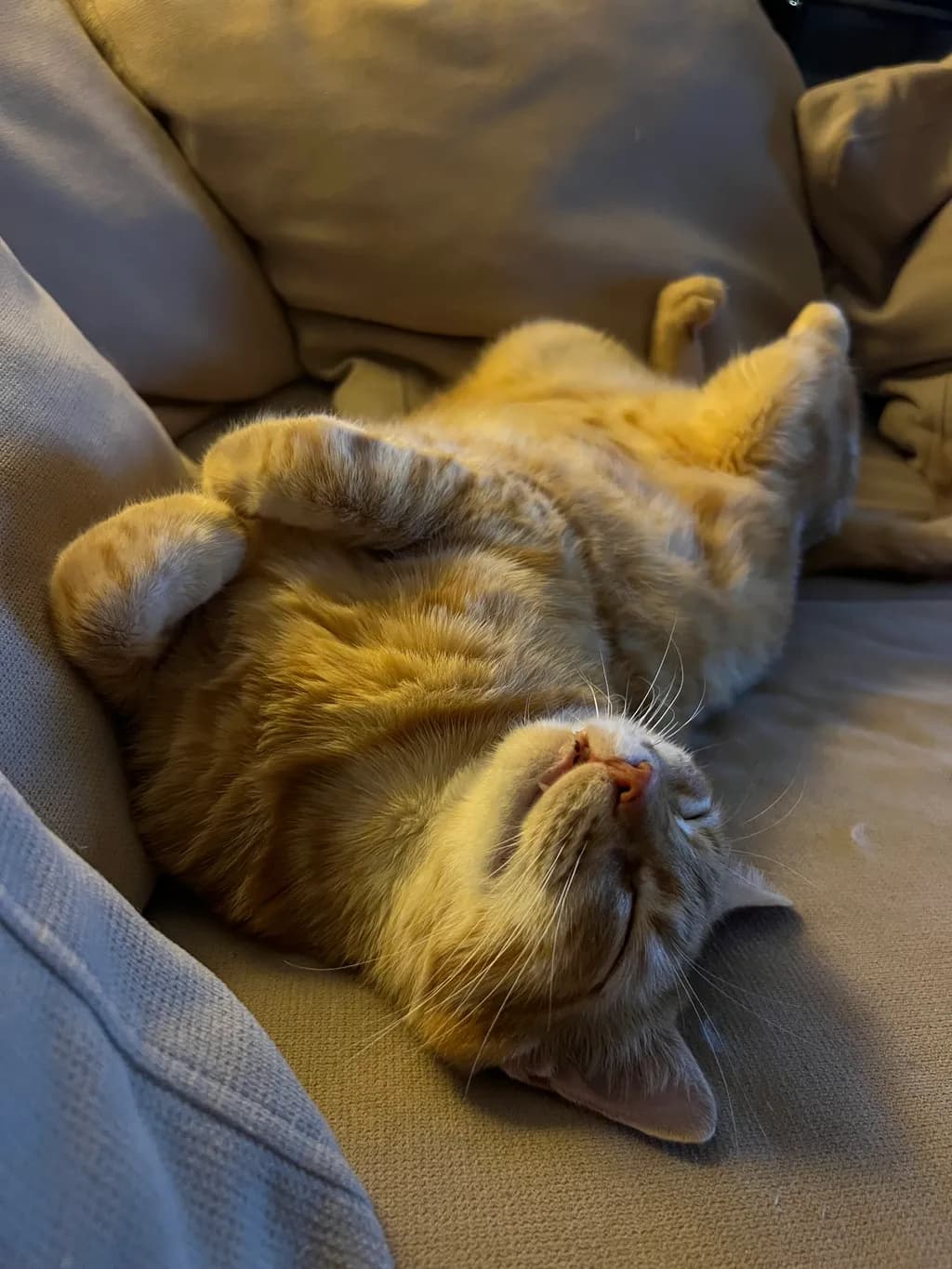 Golden Slumber