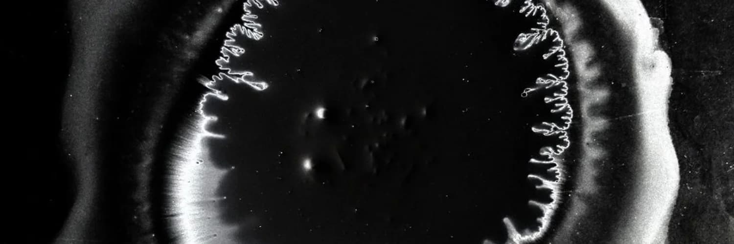 Profile banner