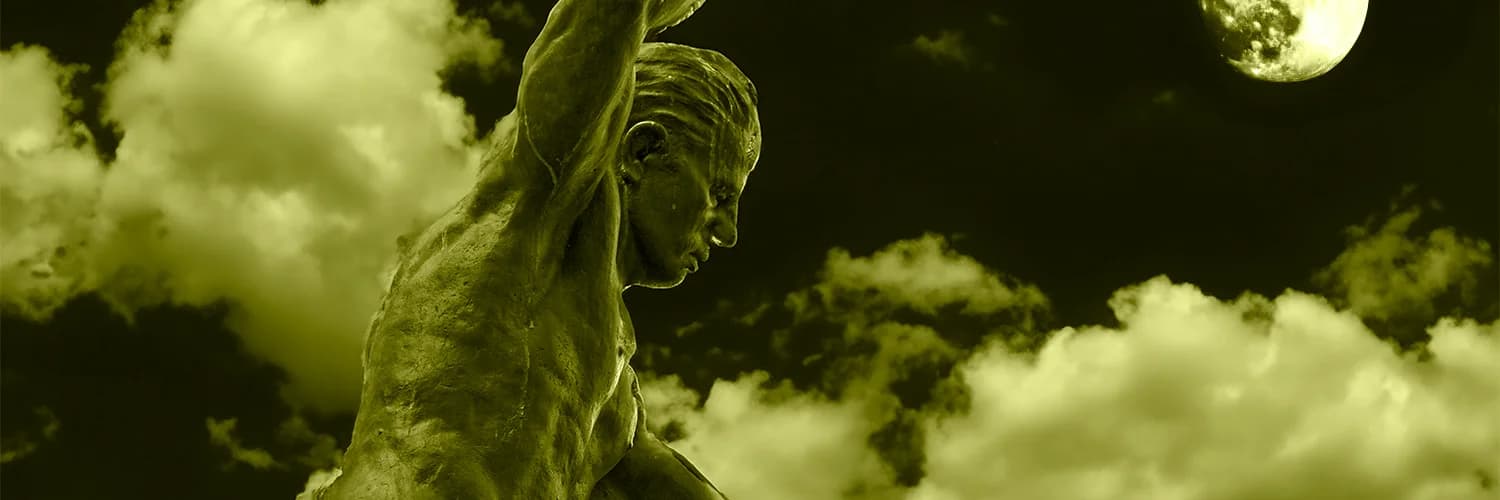 Profile banner