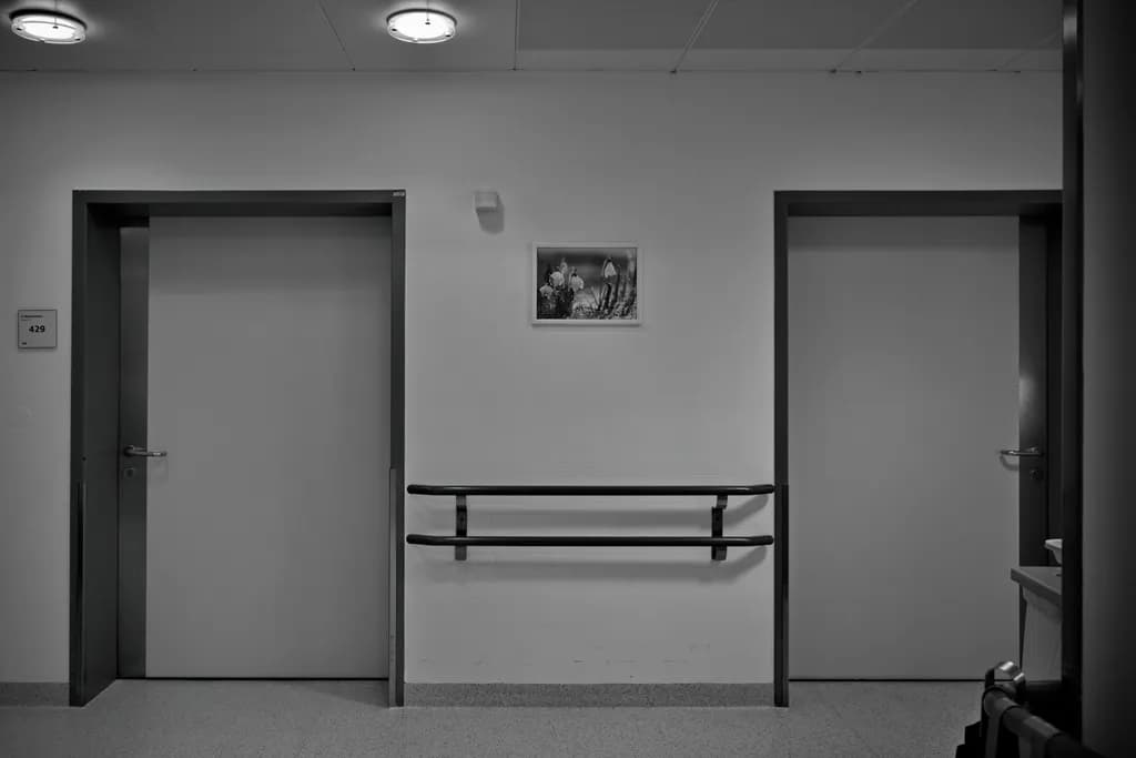 Hospital Doors