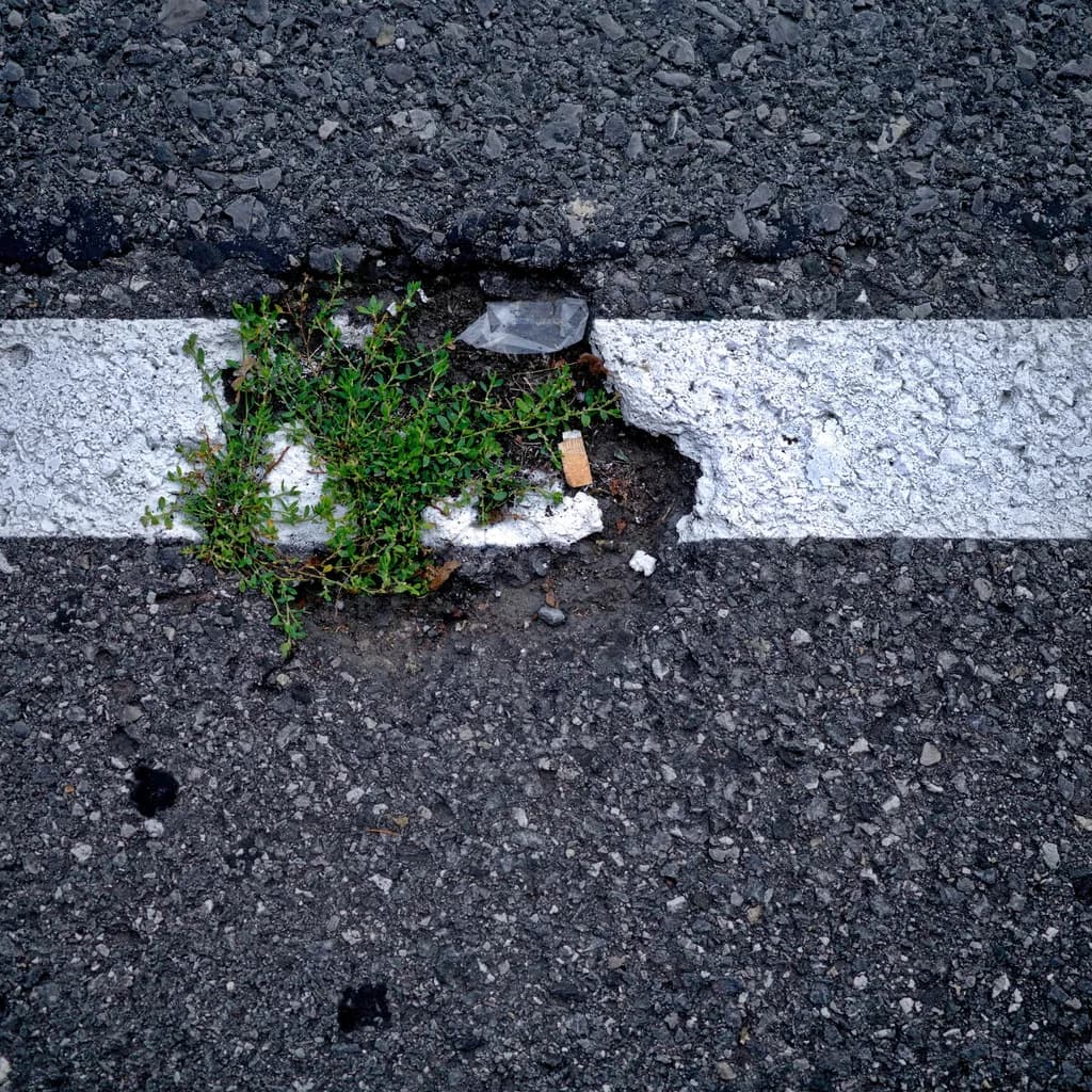 Asphalt Growth