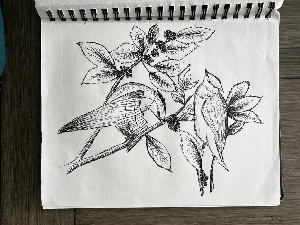 Birds and Berries