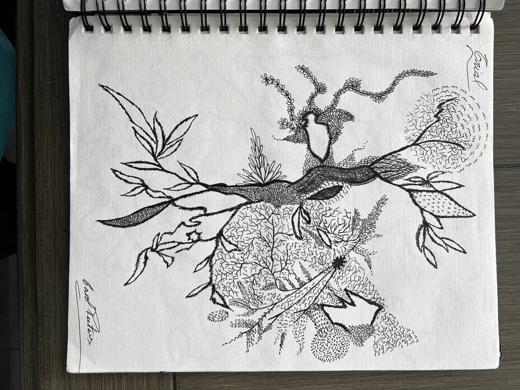 Branch Anatomy