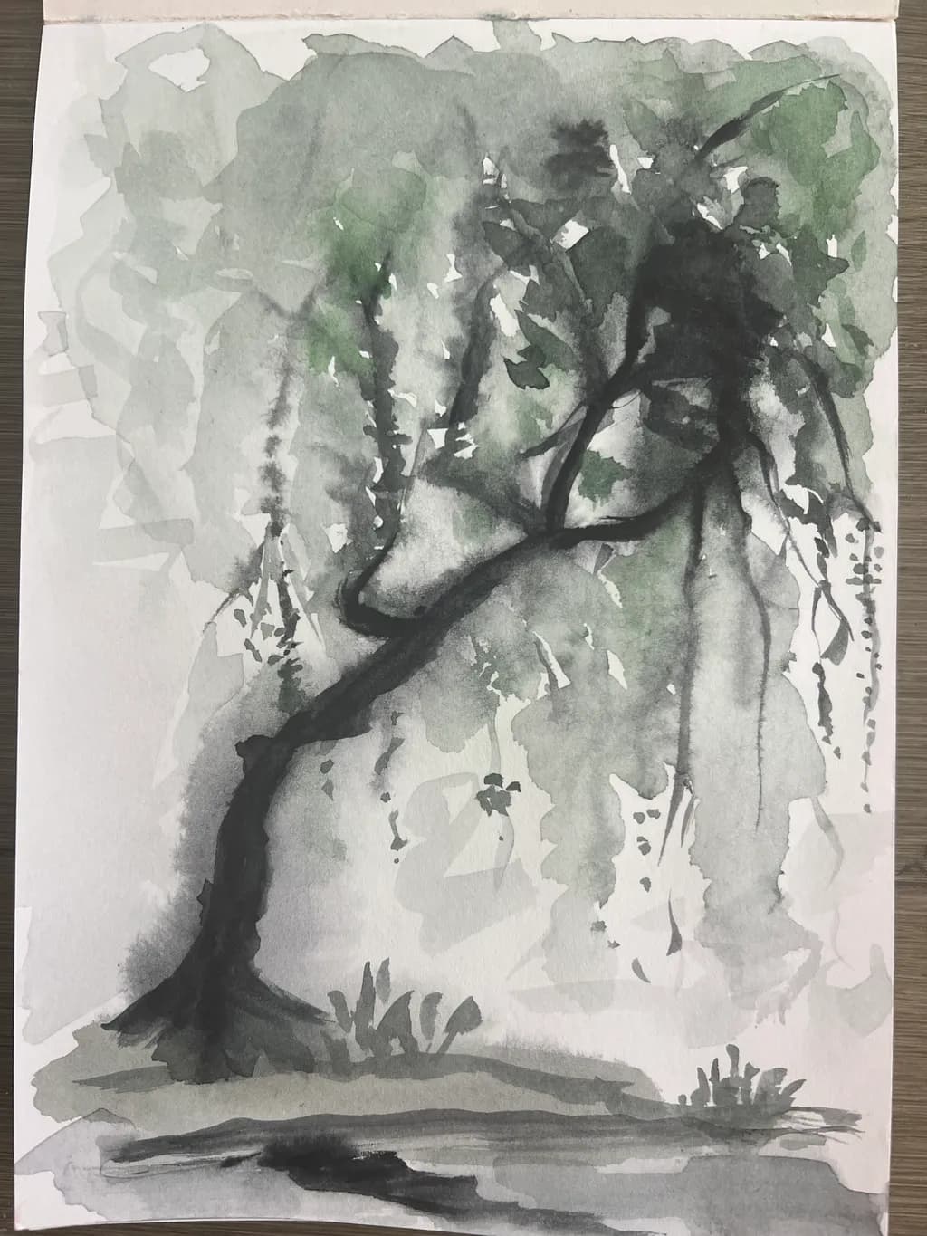 Leaning Willow