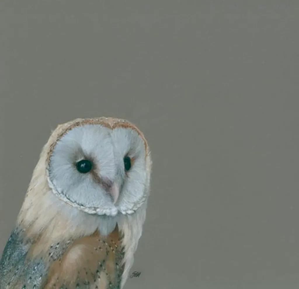 Silent Gaze