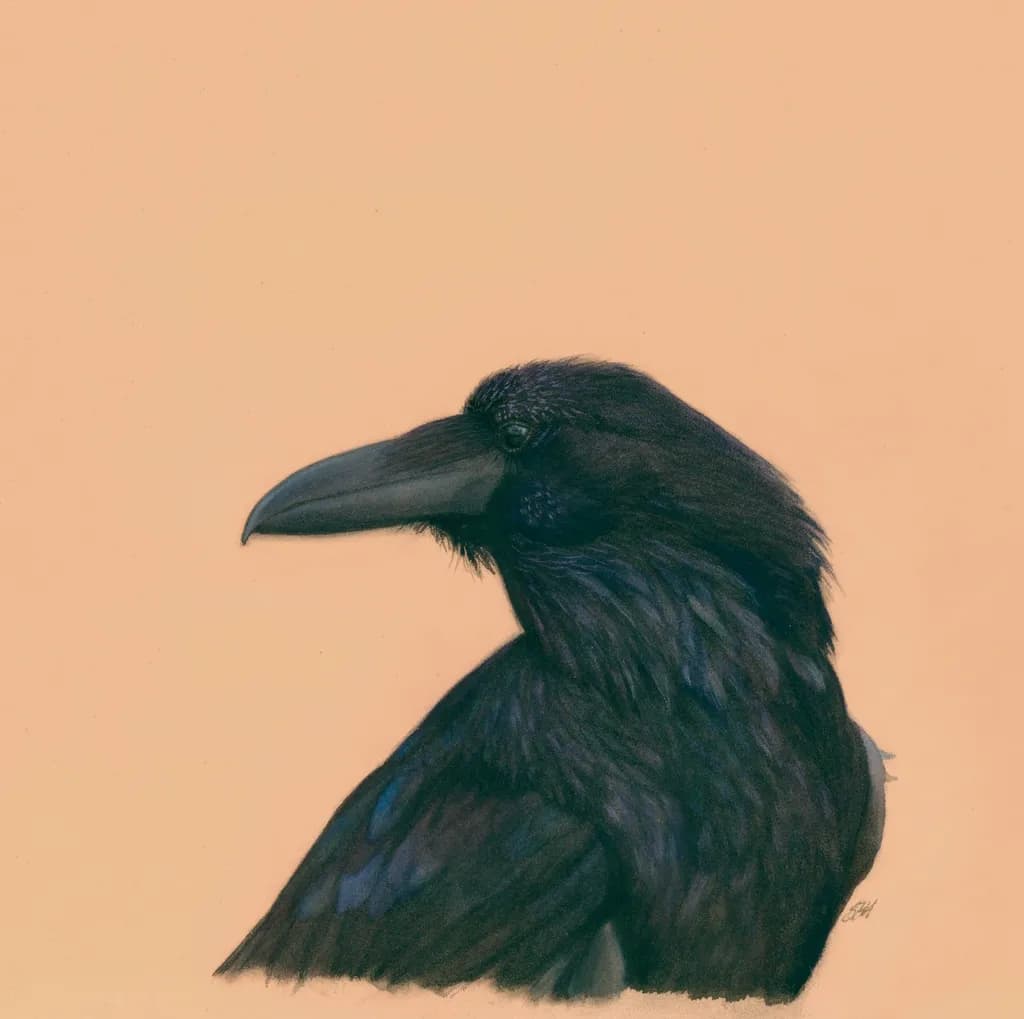 Midnight Sentinel