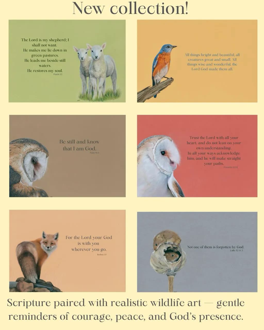 Peaceful Creatures Scripture Series