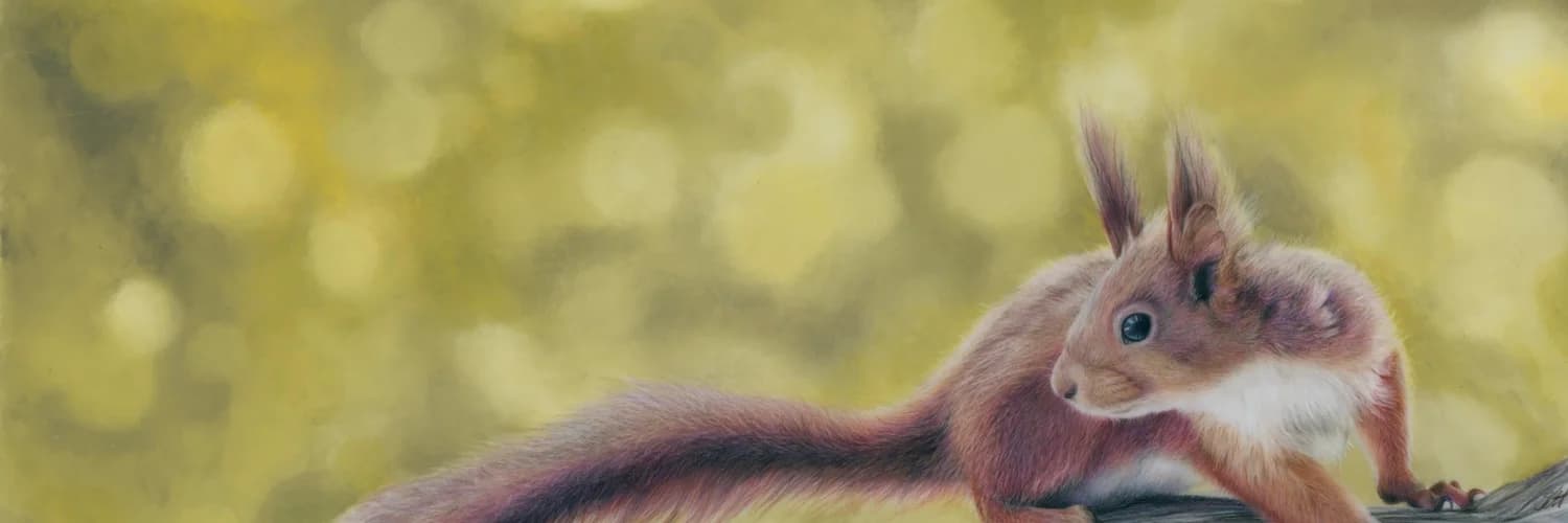 Banner del perfil