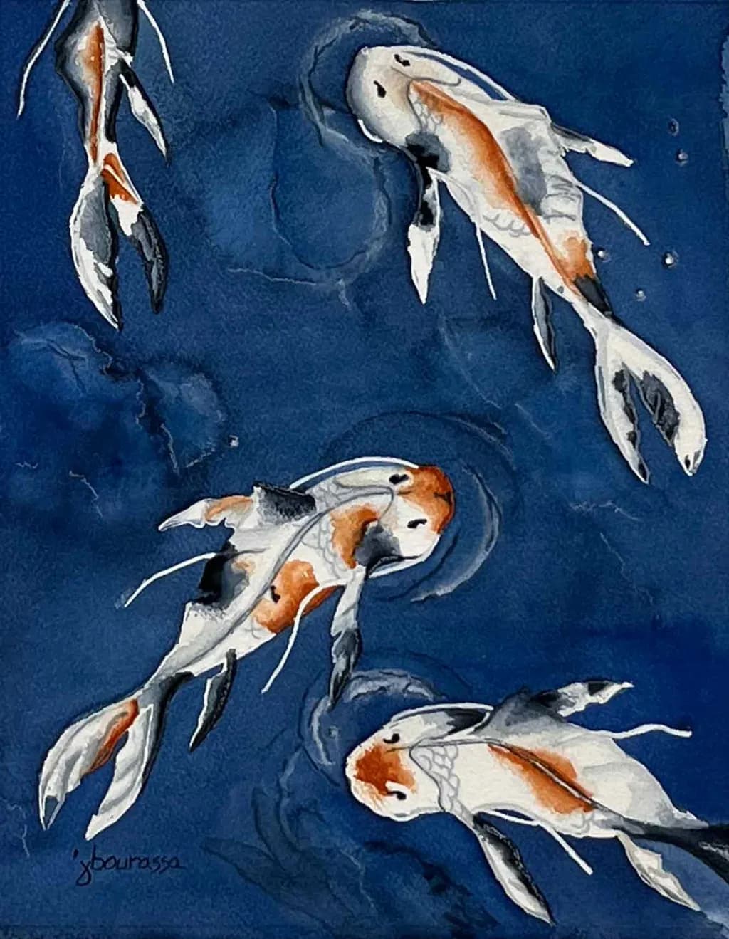 Koi Drift