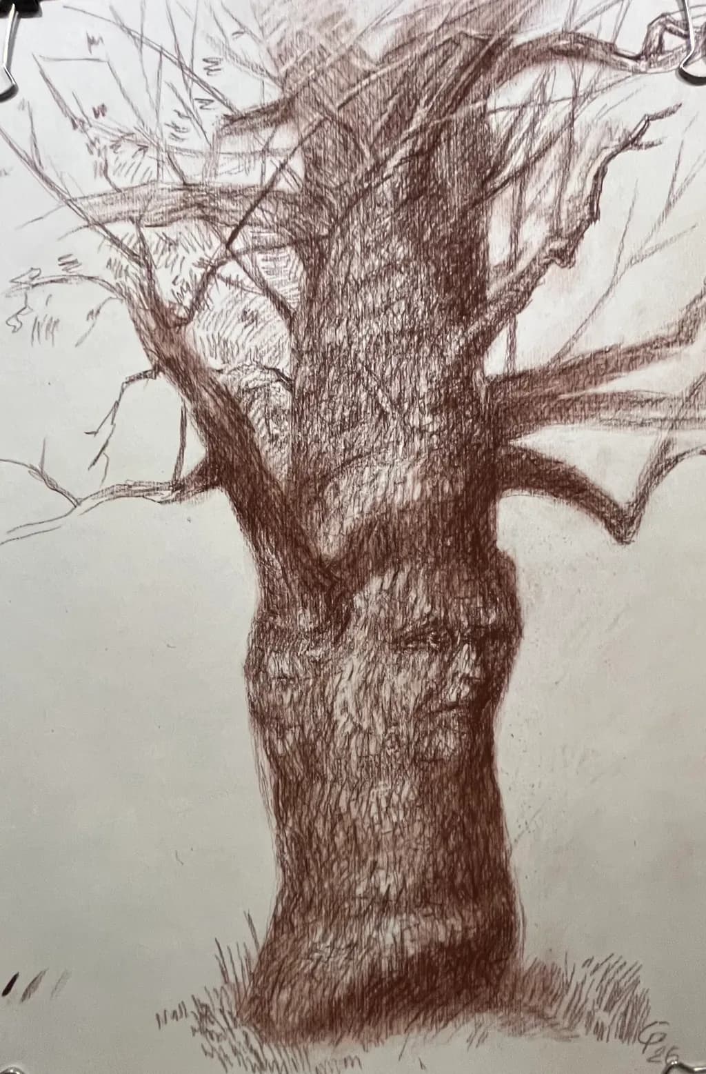 The Whispering Oak