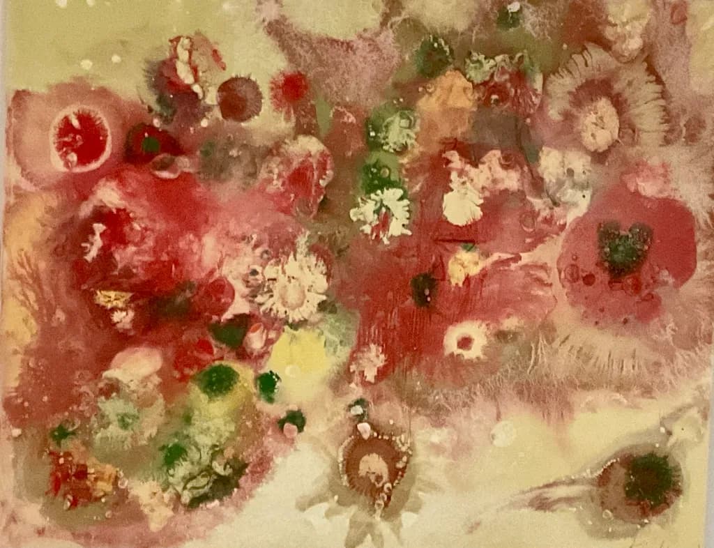 Blood to Bloom