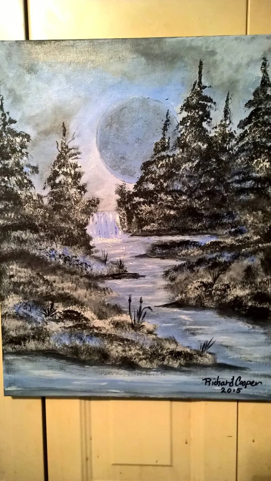 Moonlit Stream