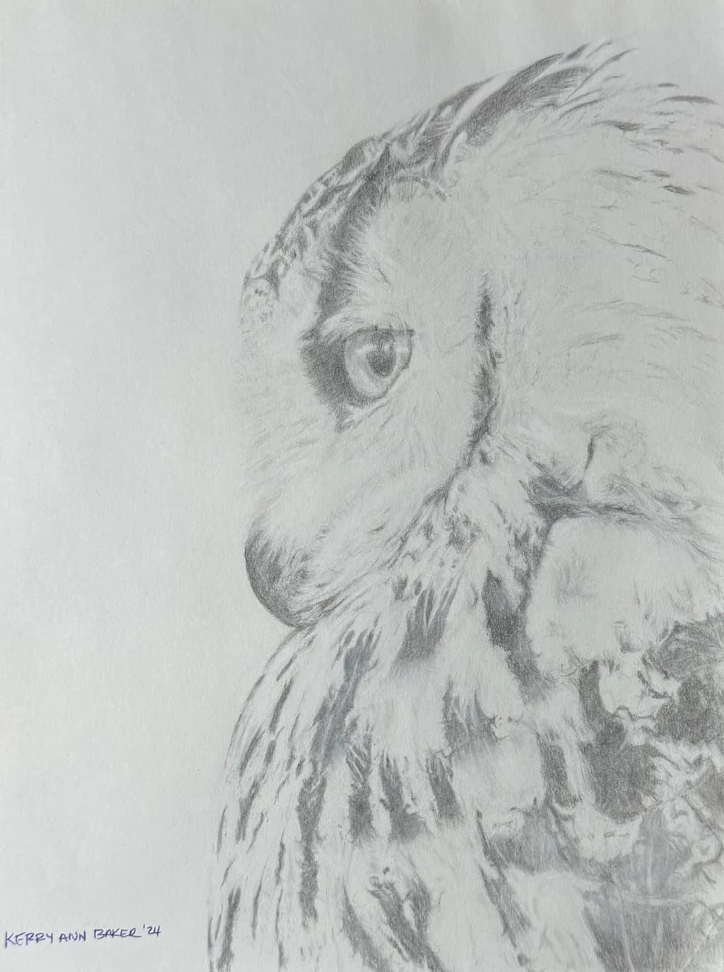 Snowy Owl