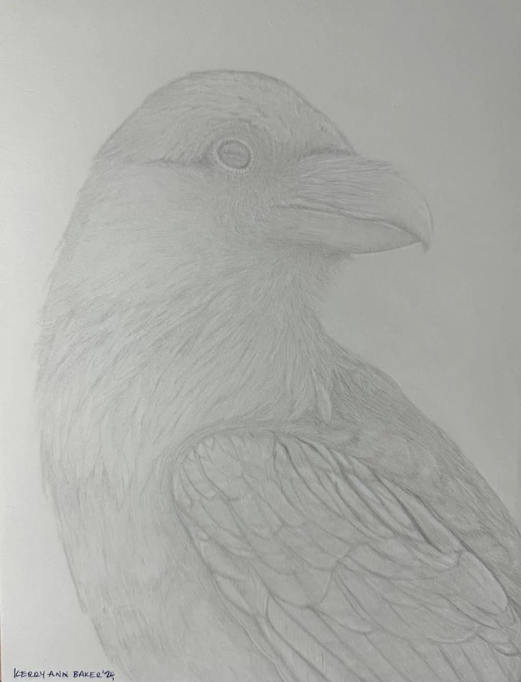 Raven Study