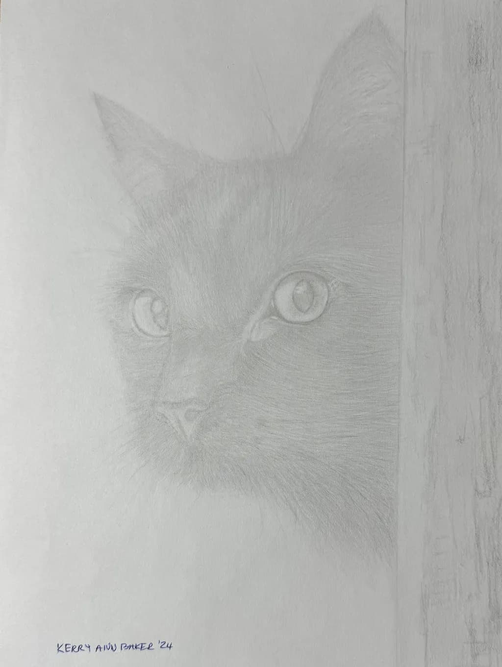Black Cat Glance