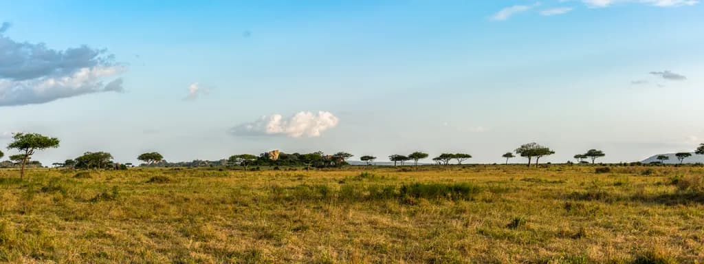 The Savanna of the Serengeti