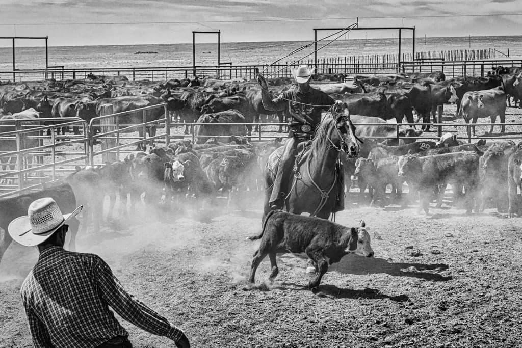 Rope 'Em
