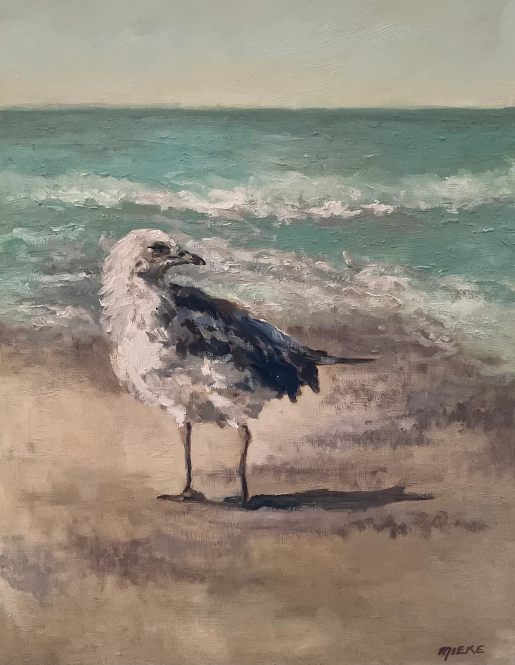 Seagull Shoreline