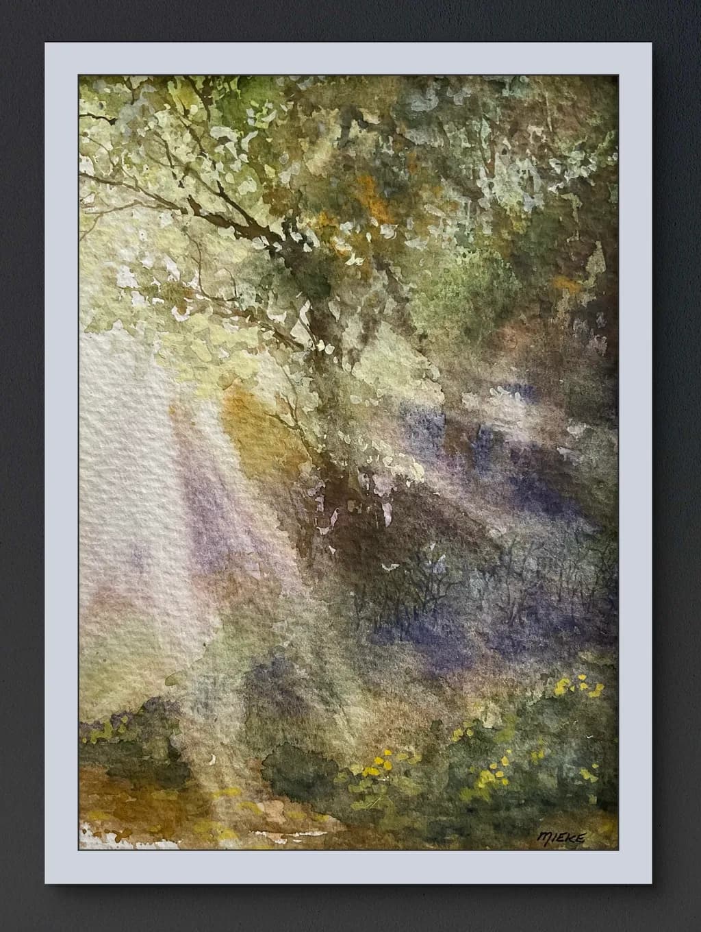 Morning Light Through Trees