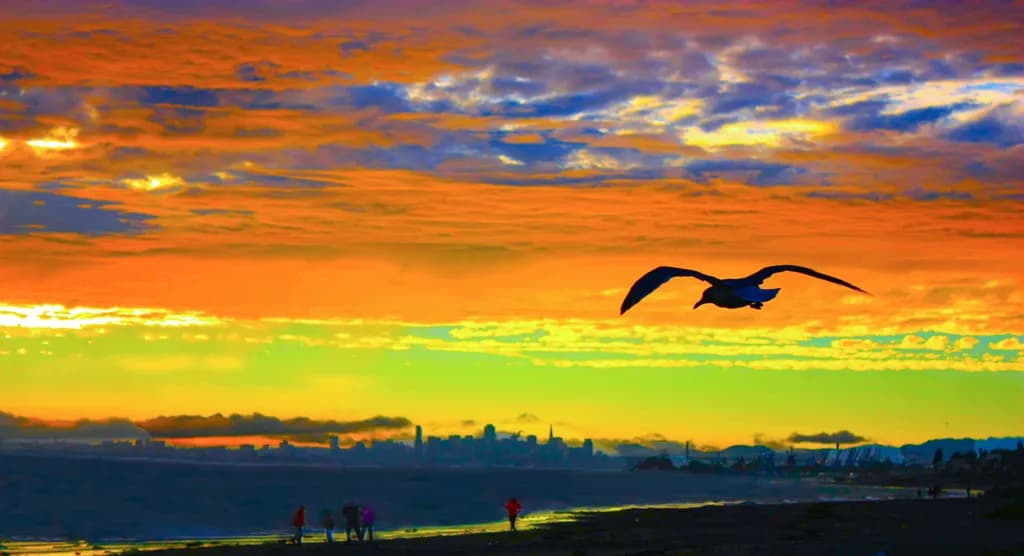 Swaying In The Wind