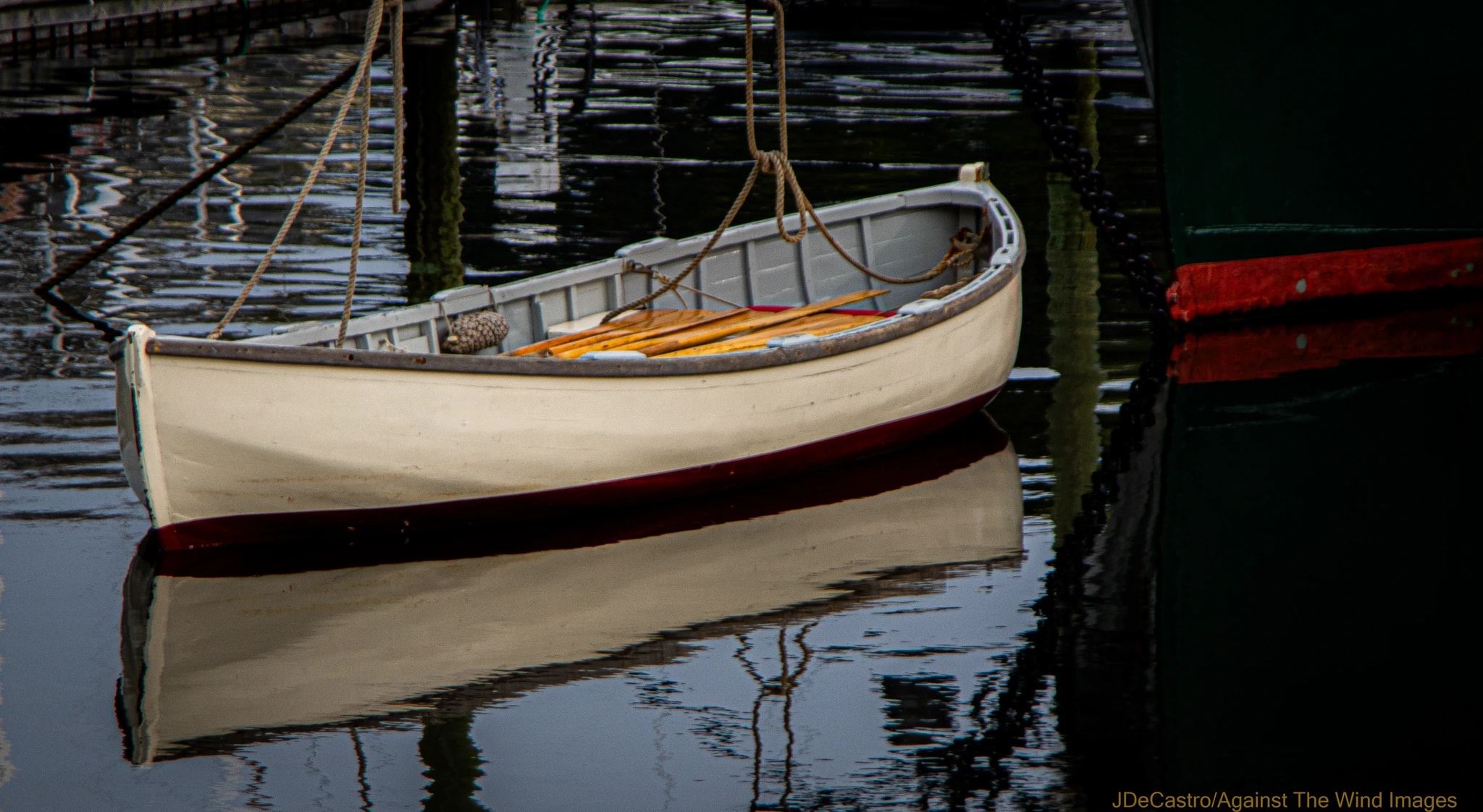 Calm Reflection