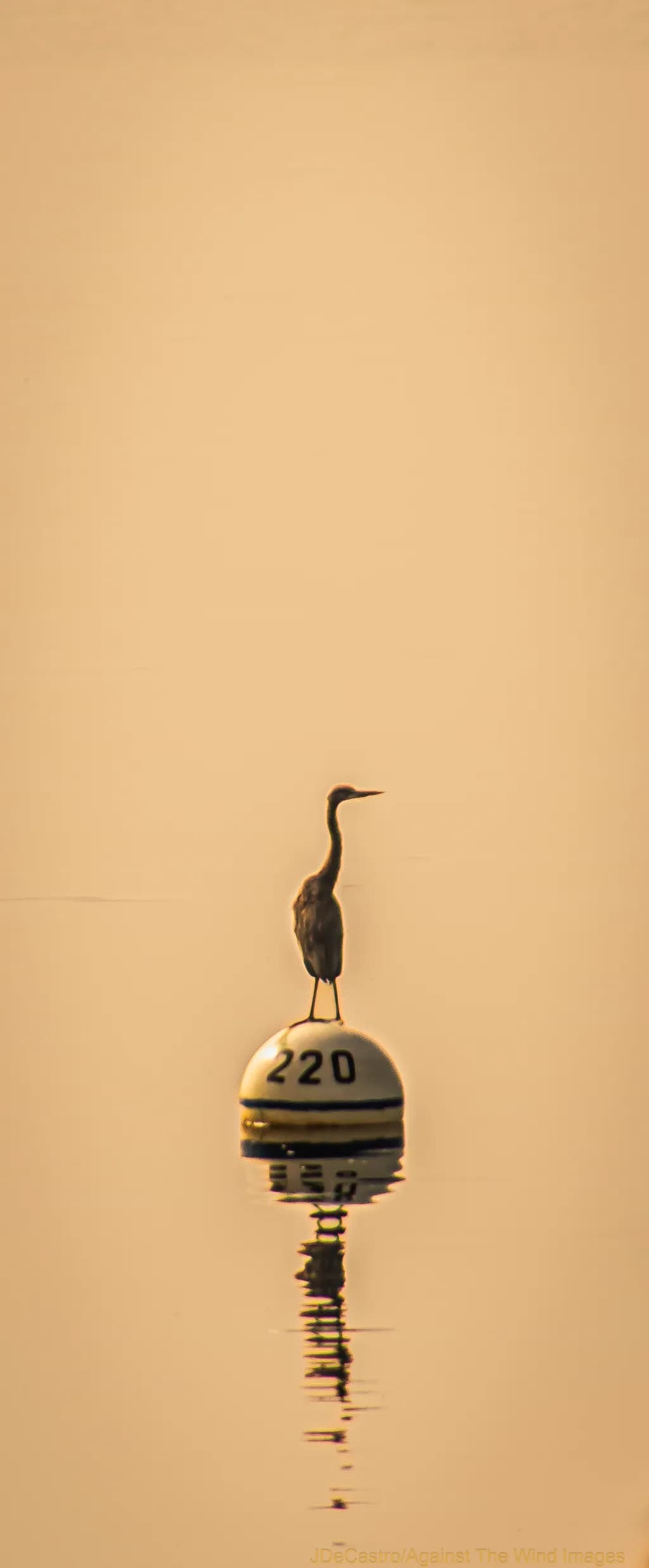 Stillness on Buoy 220