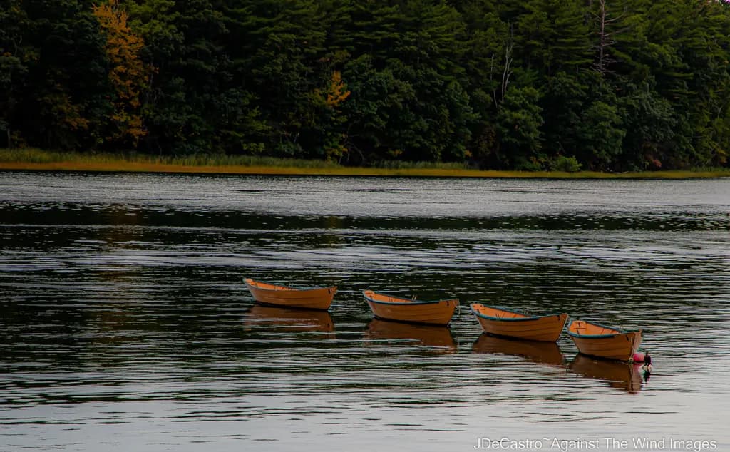 Line of Boats