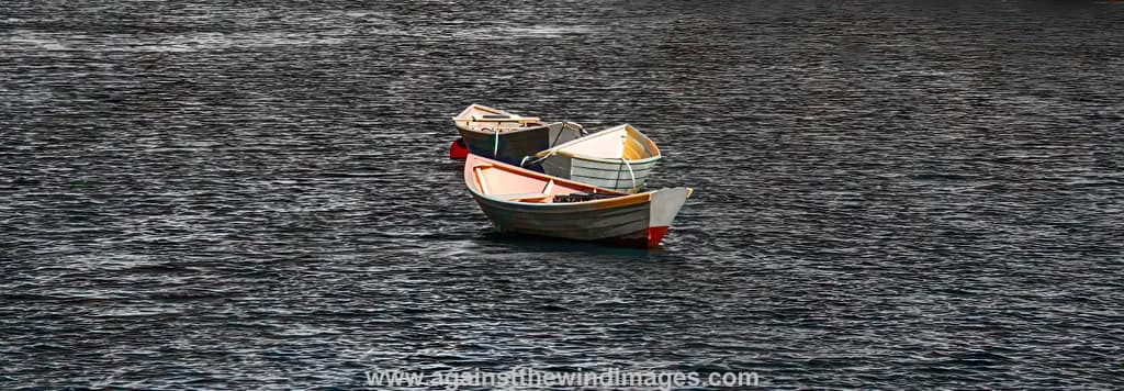 Guana Boats