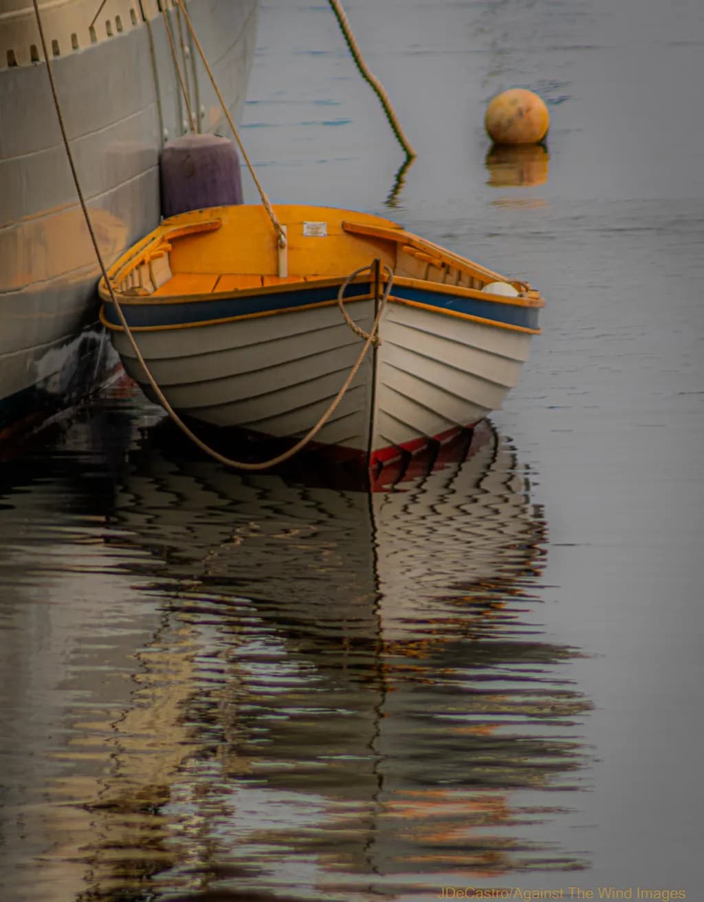 Camden Rowboat Reflection