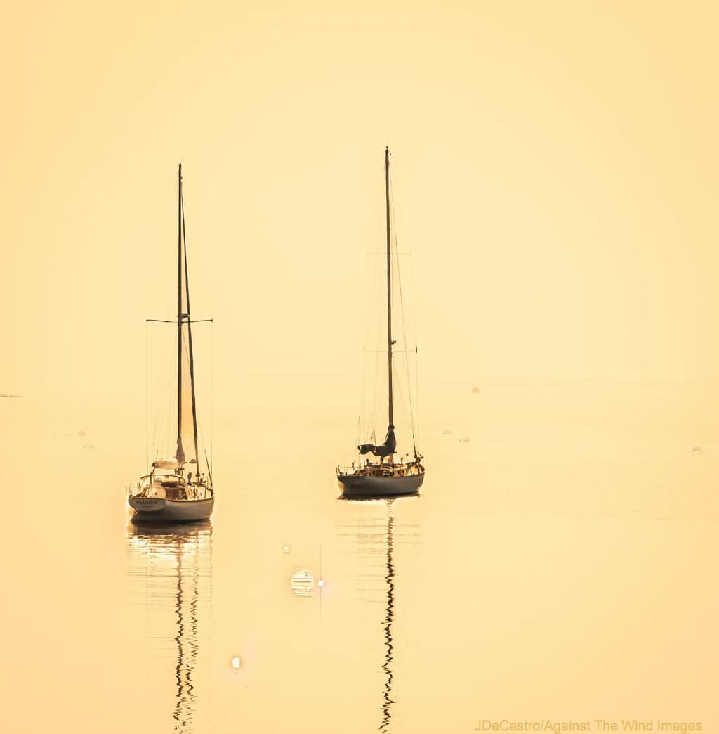 Calm Reflections