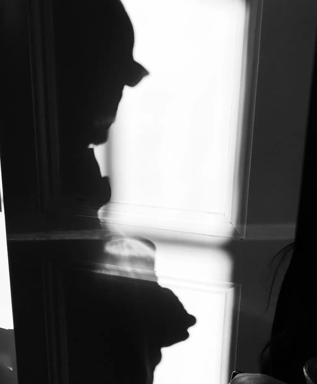 Shadow Encounter