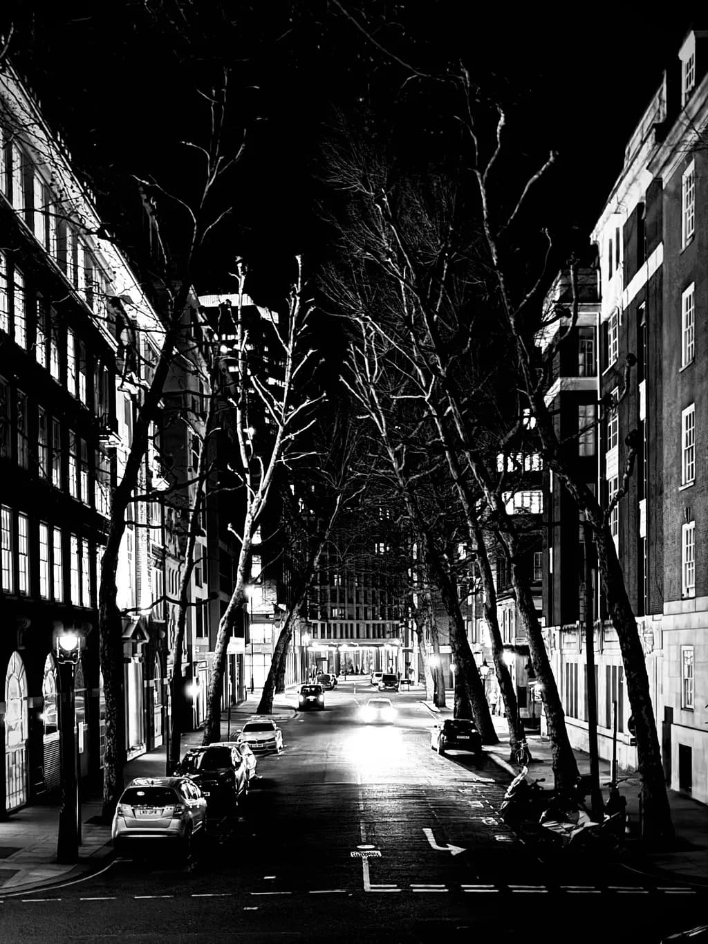 Midnight Avenue