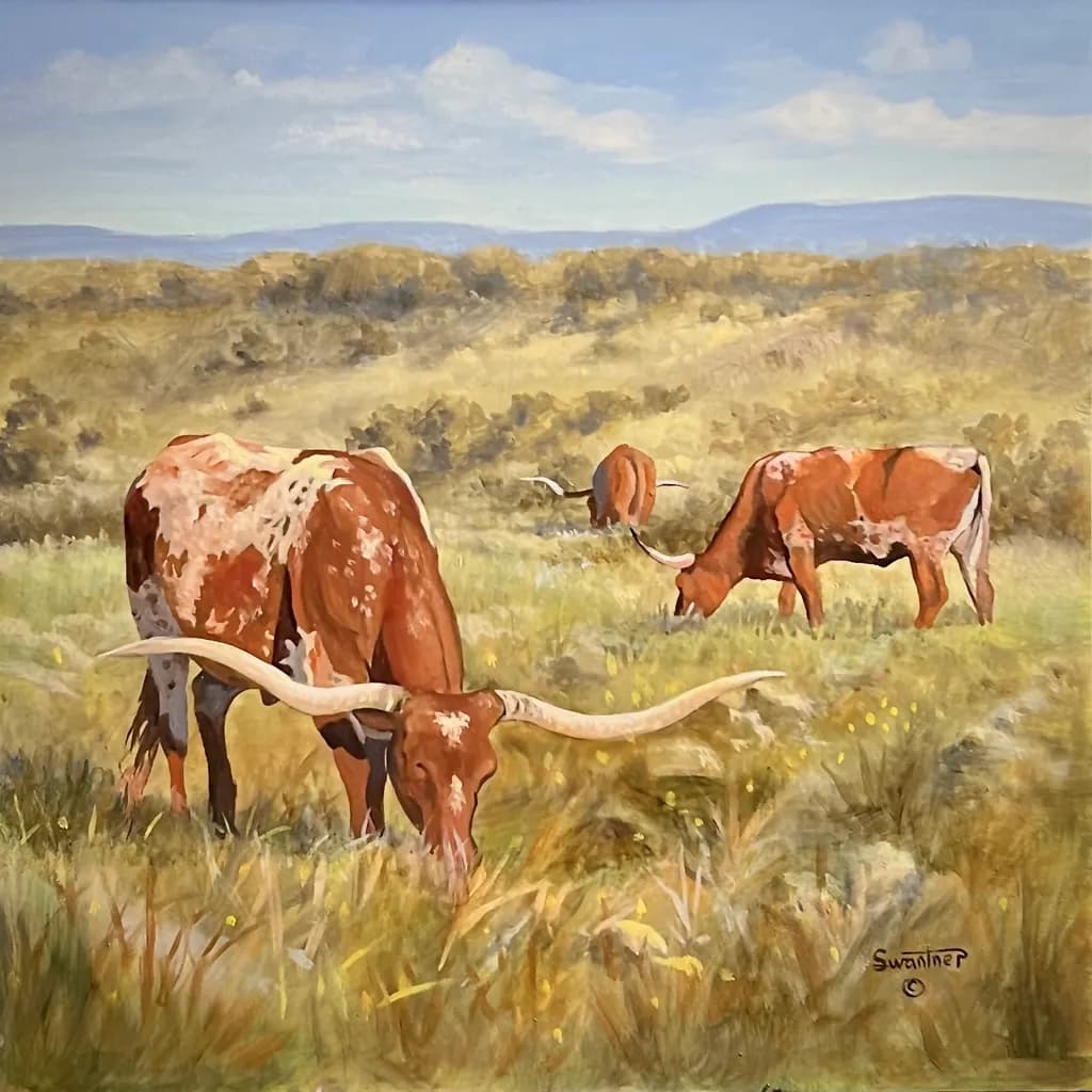 Grazing Longhorns