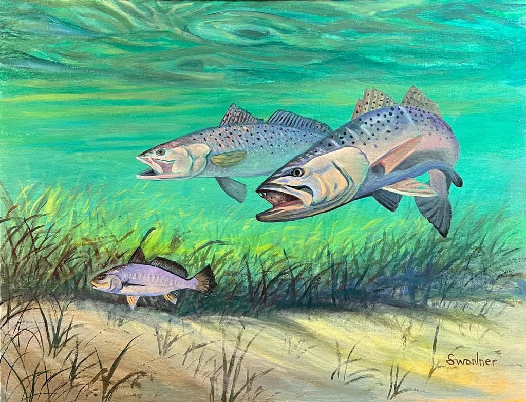 Teal River Fish