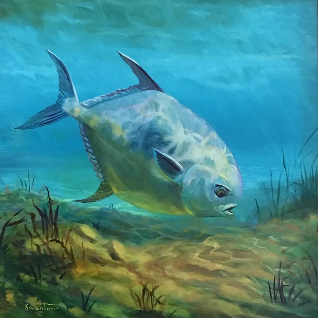 Underwater Fish Glide