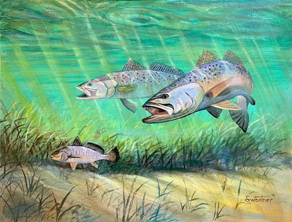 River Fish Pursuit