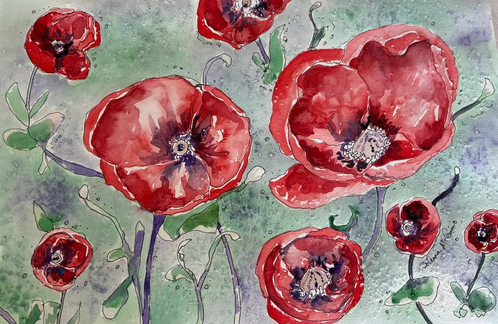 Red Poppies Bloom