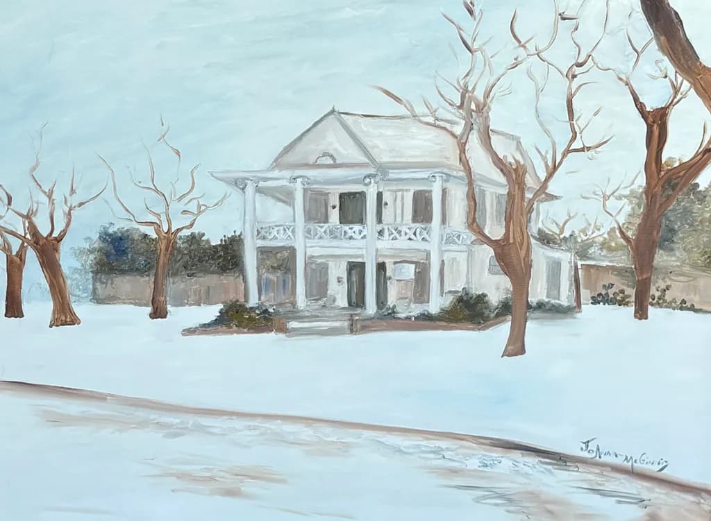 Snowy Day at Pecan Manor Bed and Breakfast