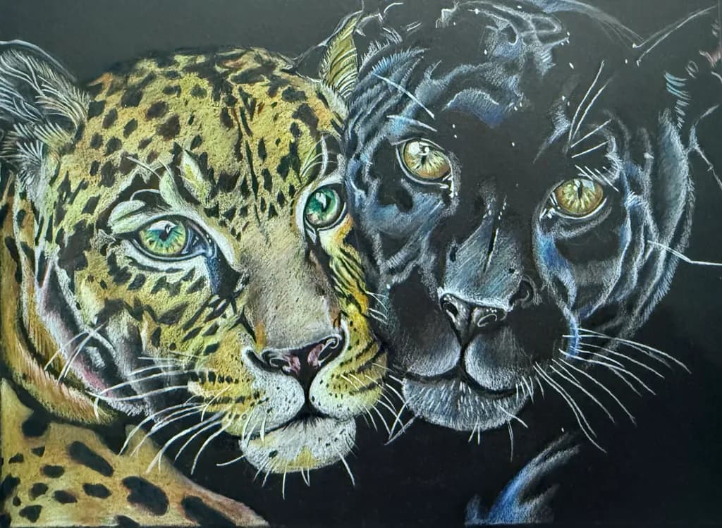 Leopards