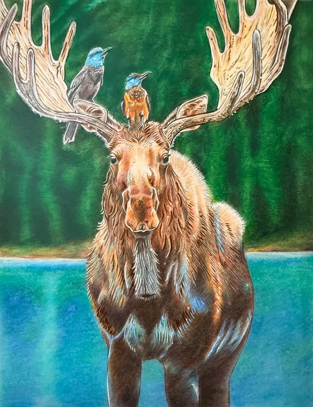Antler Perch