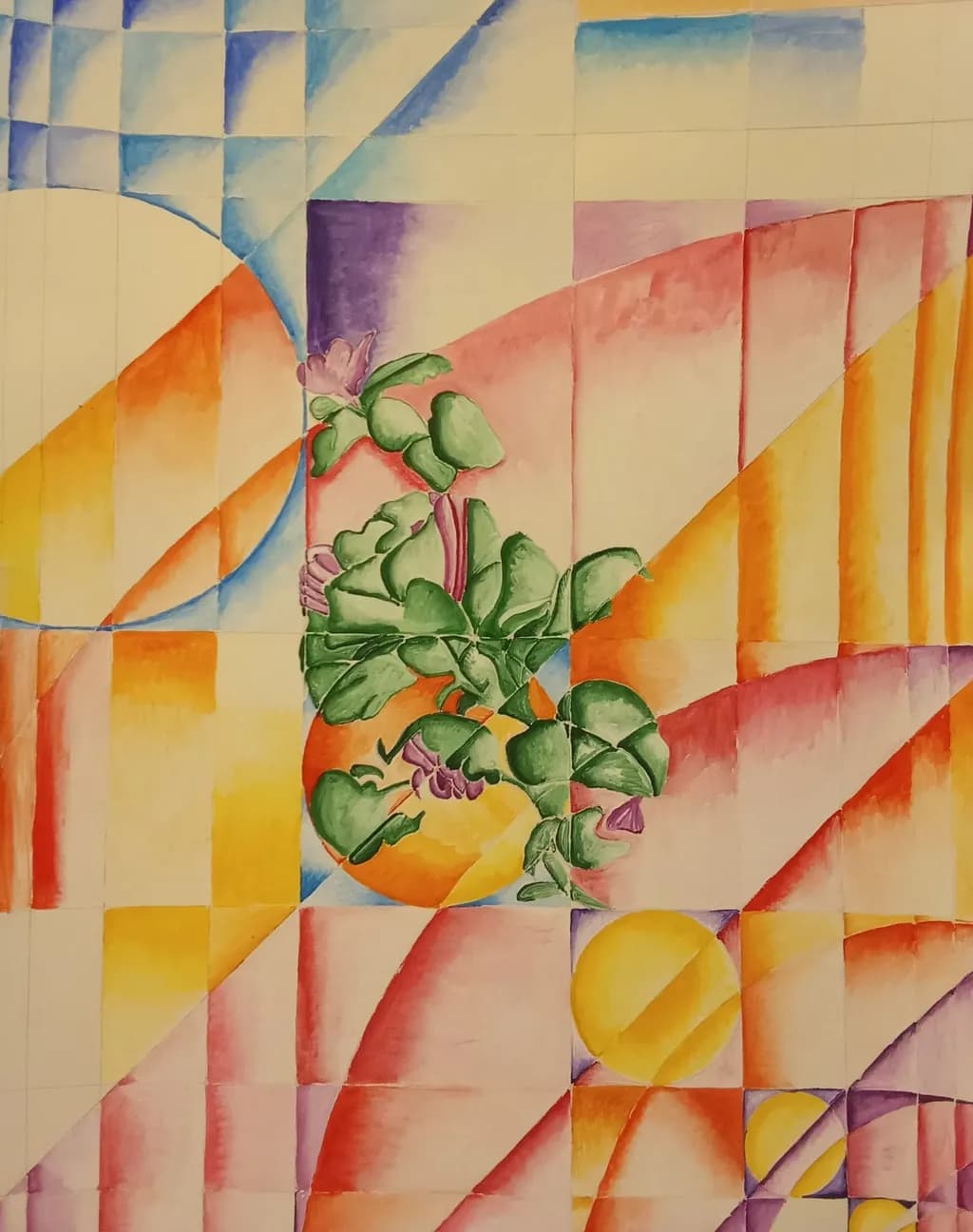 Malva Composition