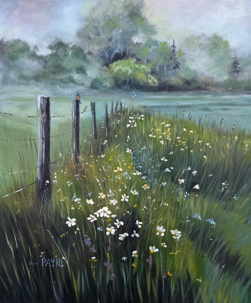 Meadow Fence Birds