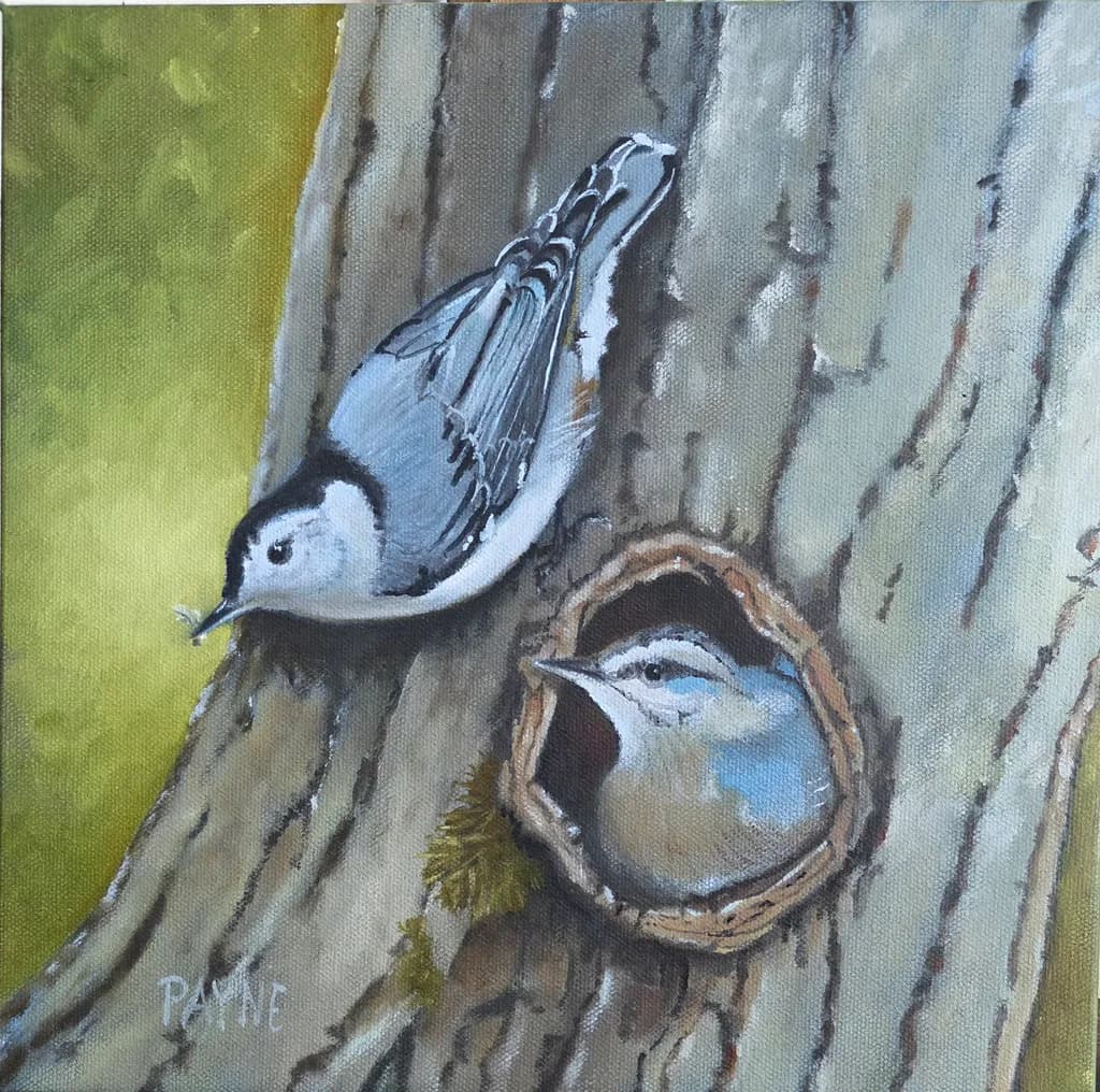 Nestled Nuthatches