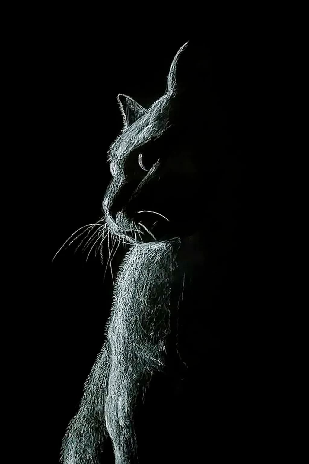Shadowed Panther