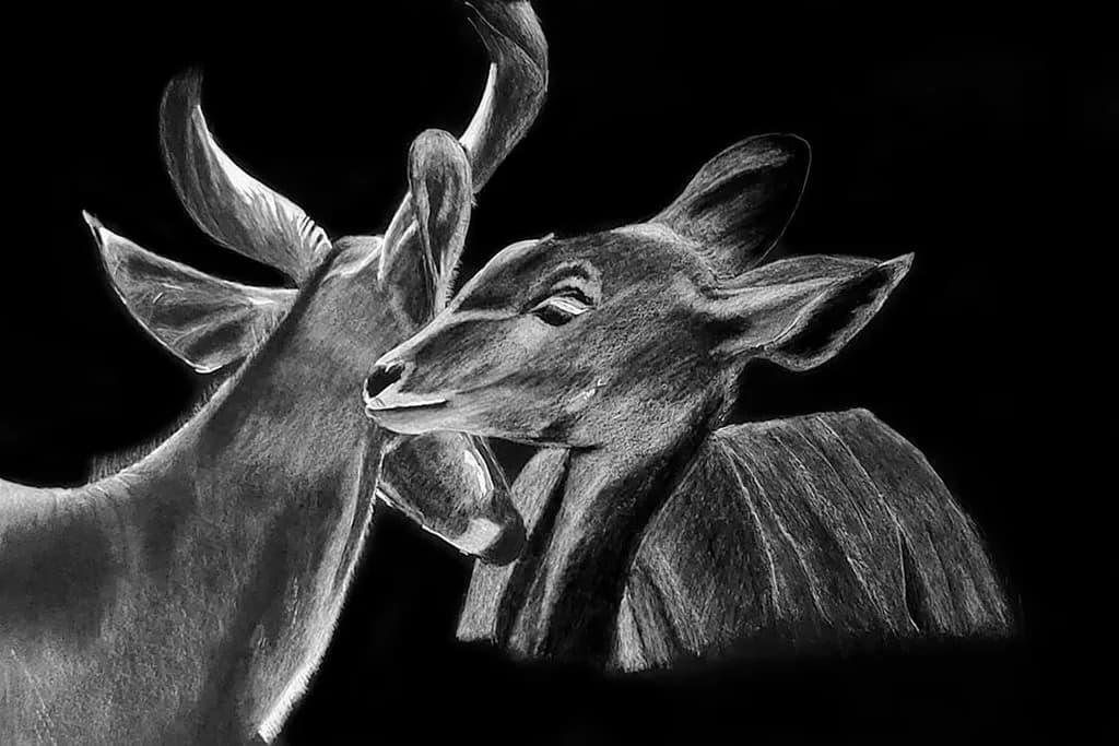 Silent Embrace