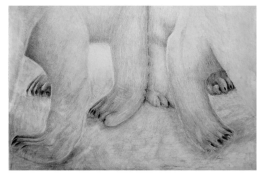 Polar Paws