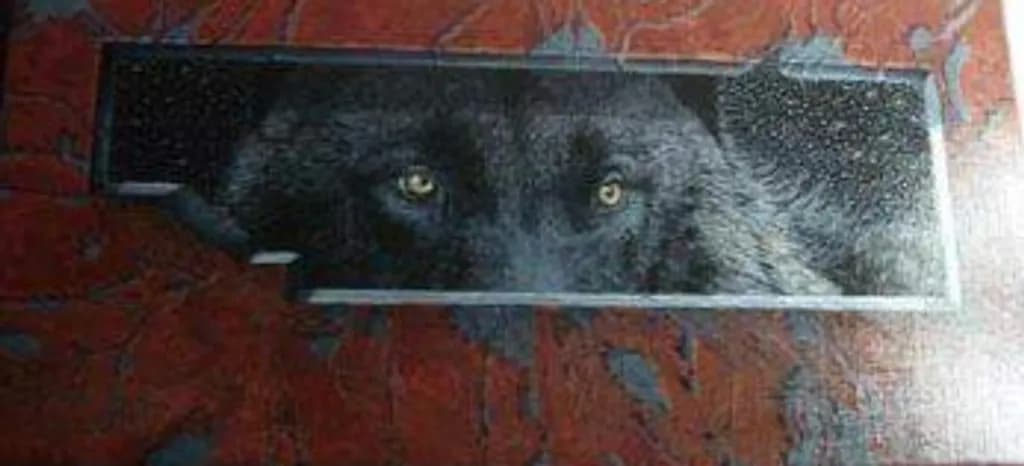 Shadowed Wolf Eyes