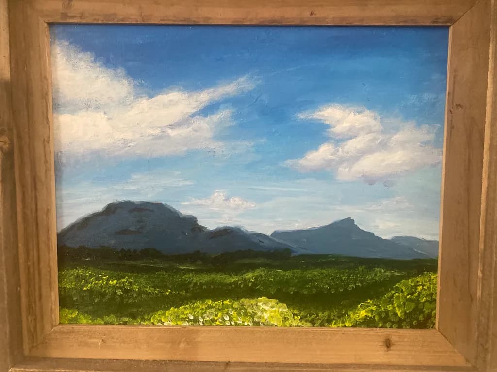 Mountain Field Vista