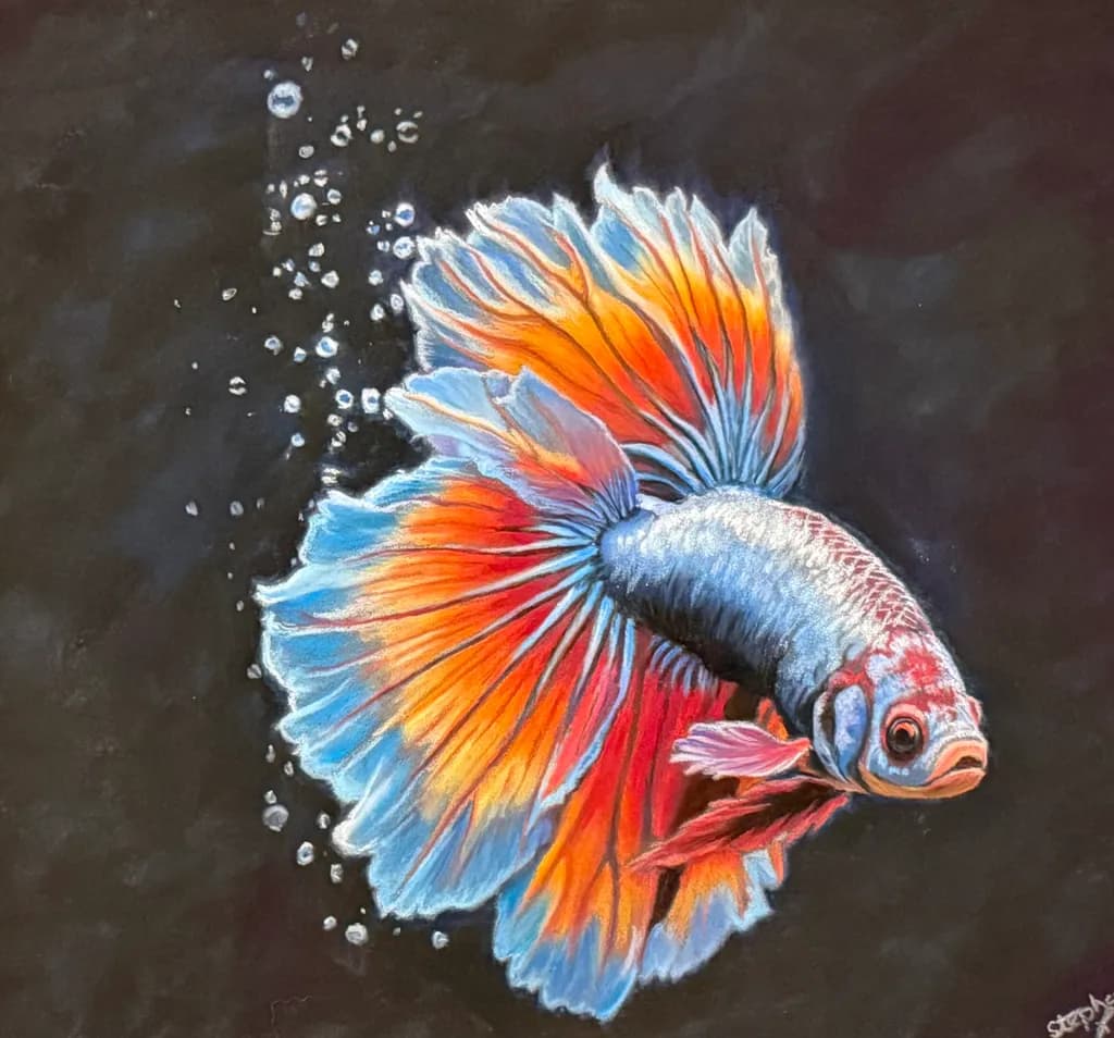 Flaming Betta